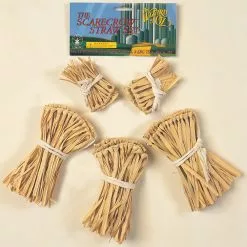 The Wizard Of Oz - Scarecrow Straw Accessory Kit