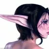 World Of Warcraft - Night Elf Prosthetic Latex Kit