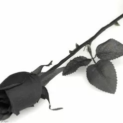 Black Rose